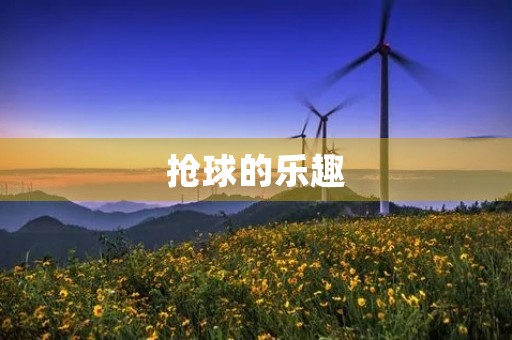 抢球的乐趣 抢球的乐趣