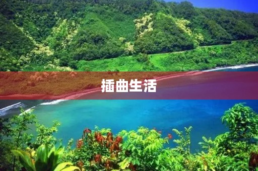 插曲生活 插曲生活