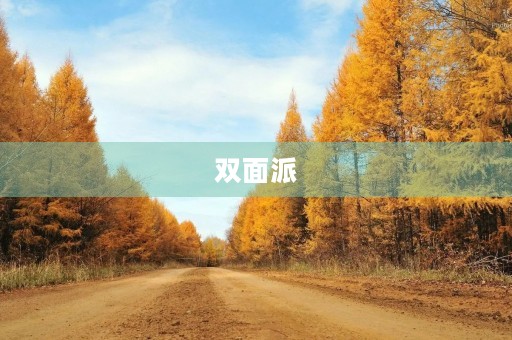 双面派
