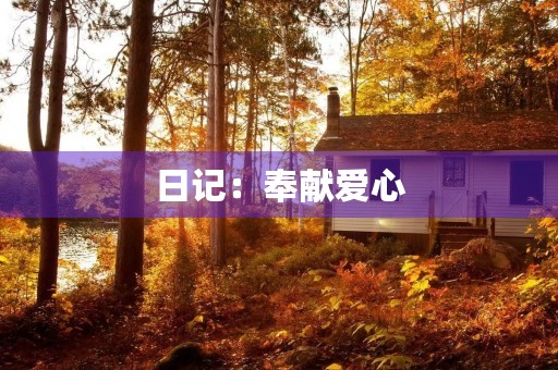 日记:奉献爱心 日记:奉献爱心
