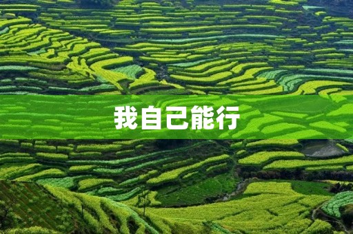 我自己能行 我自己能行