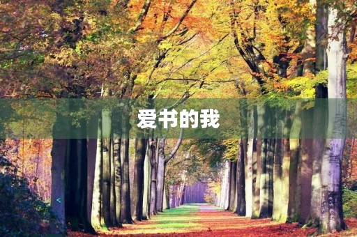 爱书的我 爱书的我