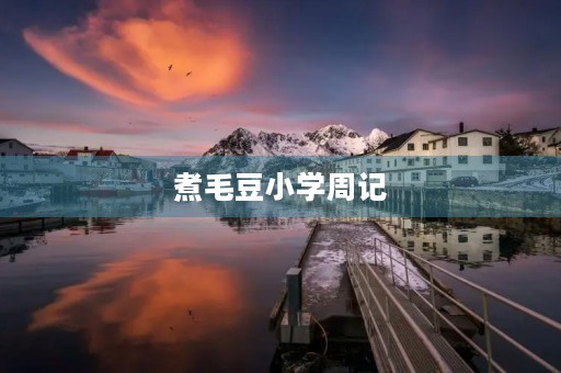 煮毛豆小学周记 煮毛豆小学周记