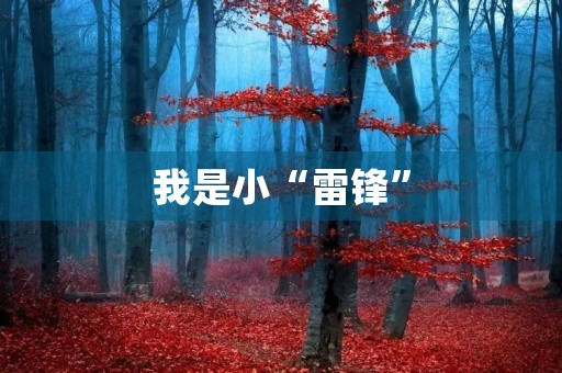 我是小“雷锋” 我是小“雷锋”