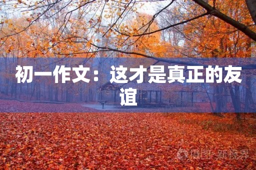 初一作文:这才是真正的友谊 初一作文:这才是真正的友谊