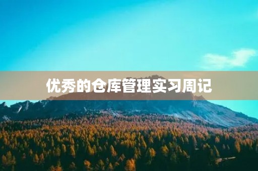 优秀的仓库管理实习周记