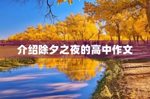 介绍除夕之夜的高中作文