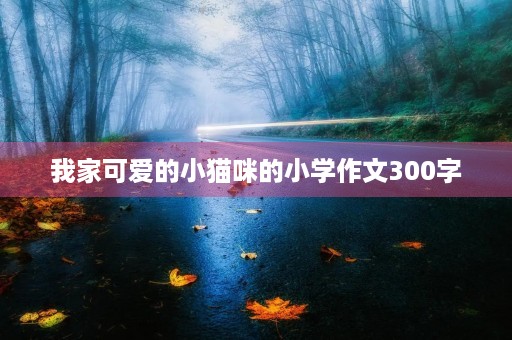 我家可爱的小猫咪的小学作文300字 我家可爱的小猫咪的小学作文300字