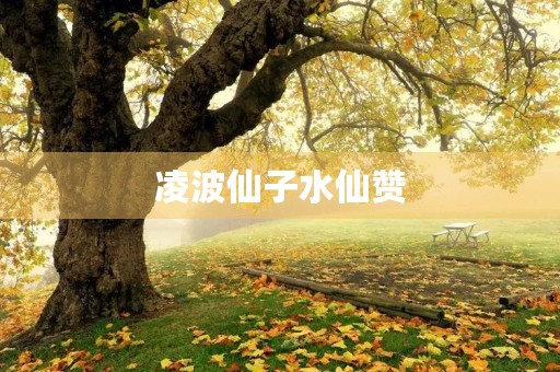 凌波仙子水仙赞