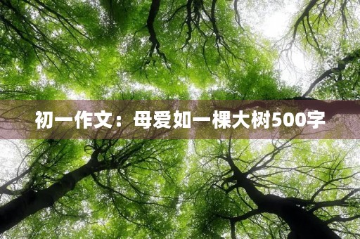 初一作文:母爱如一棵大树500字 初一作文:母爱如一棵大树500字