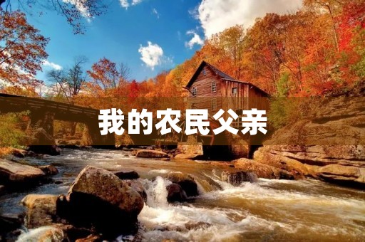 我的农民父亲 我的农民父亲