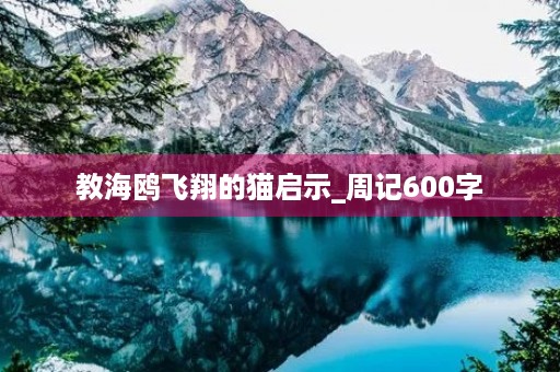 教海鸥飞翔的猫启示_周记600字