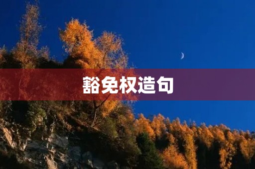豁免权造句