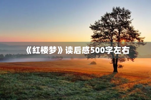 《红楼梦》读后感500字左右 《红楼梦》读后感500字左右