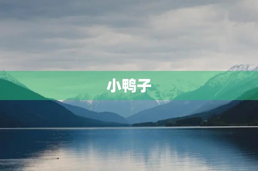 小鸭子 小鸭子