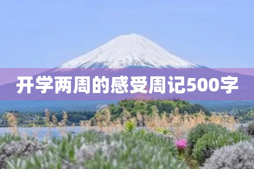 开学两周的感受周记500字 开学两周的感受周记500字
