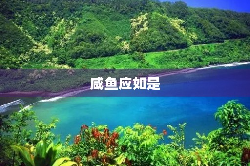 咸鱼应如是