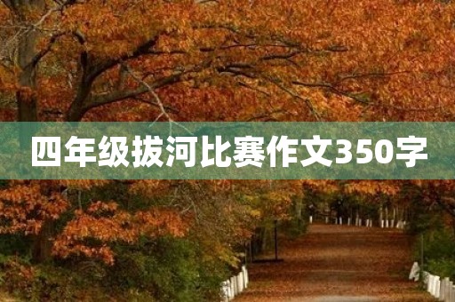 四年级拔河比赛作文350字
