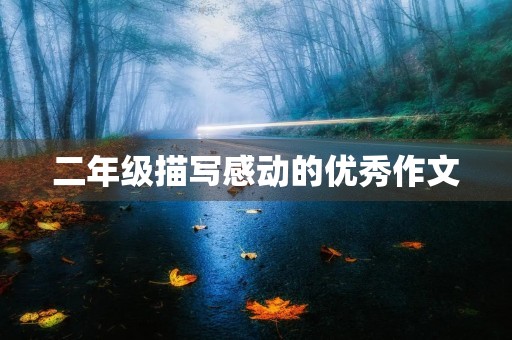 二年级描写感动的优秀作文