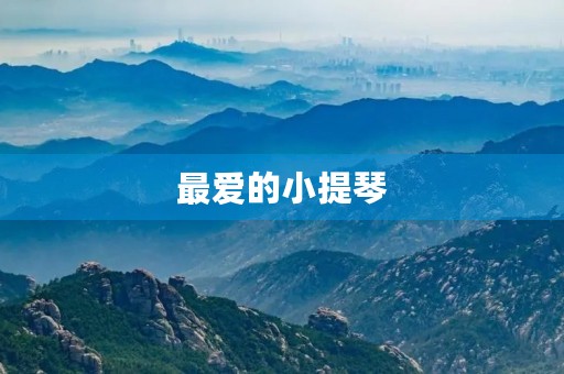 最爱的小提琴 最爱的小提琴