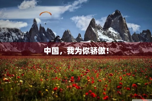 中国,我为你骄傲! 中国,我为你骄傲!