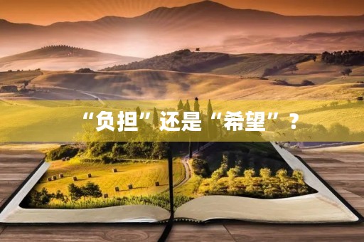 “负担”还是“希望”? “负担”还是“希望”?