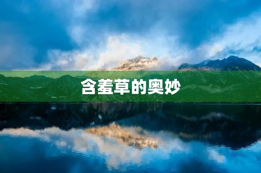 含羞草的奥妙 含羞草的奥妙