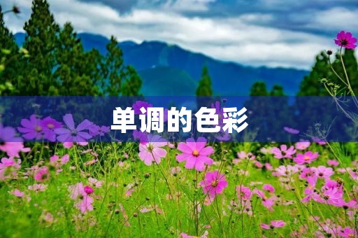 单调的色彩