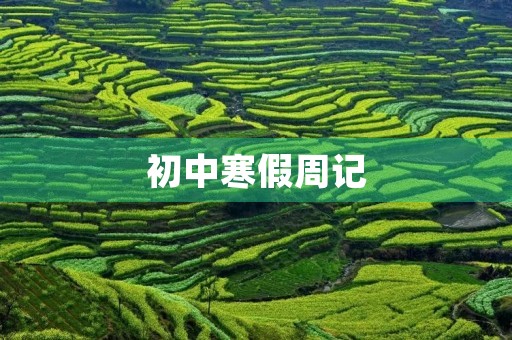 初中寒假周记 初中寒假周记