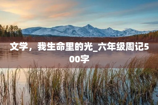 文学，我生命里的光_六年级周记500字