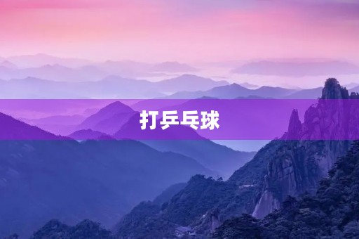 打乒乓球 打乒乓球
