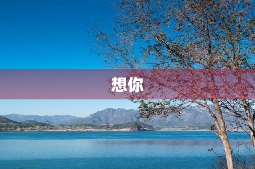 想你 想你
