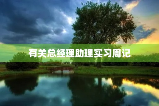 有关总经理助理实习周记