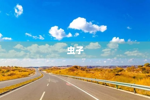虫子 虫子