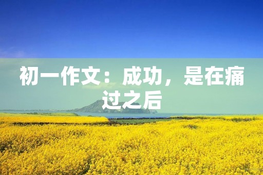 初一作文：成功，是在痛过之后