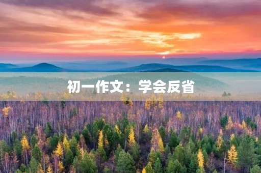 初一作文:学会反省 初一作文:学会反省
