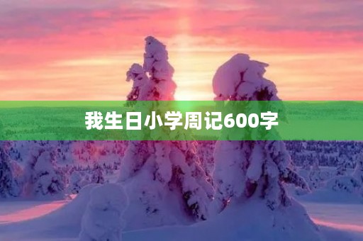 我生日小学周记600字