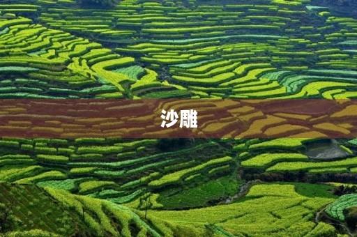 沙雕 沙雕