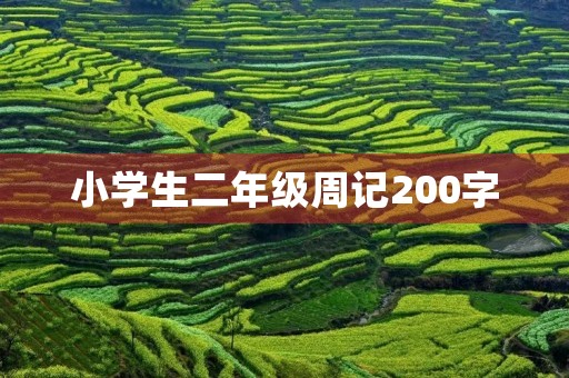 小学生二年级周记200字 小学生二年级周记200字