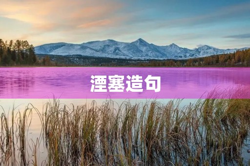 湮塞造句