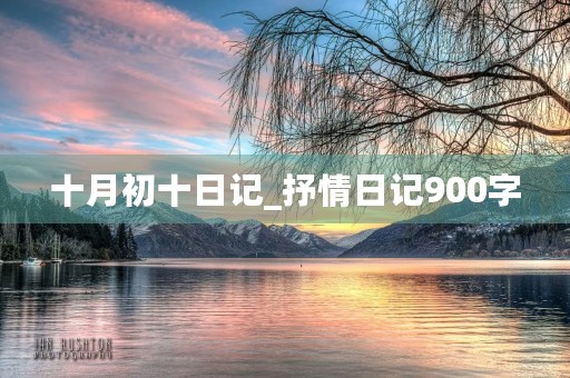 十月初十日记_抒情日记900字