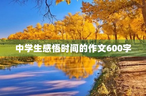 中学生感悟时间的作文600字
中学生感悟时间的作文600字