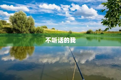 不听话的我 不听话的我