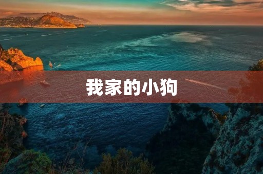 我家的小狗 我家的小狗