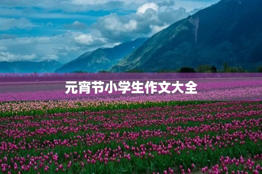 元宵节小学生作文大全 元宵节小学生作文大全
