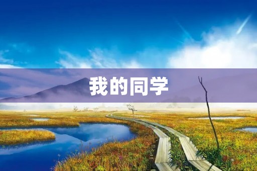我的同学 我的同学