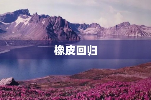 橡皮回归 橡皮回归