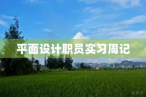 平面设计职员实习周记