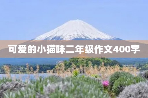 可爱的小猫咪二年级作文400字 可爱的小猫咪二年级作文400字