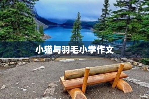 小猫与羽毛小学作文 小猫与羽毛小学作文